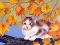 gato con hojas rojas Maday Jane